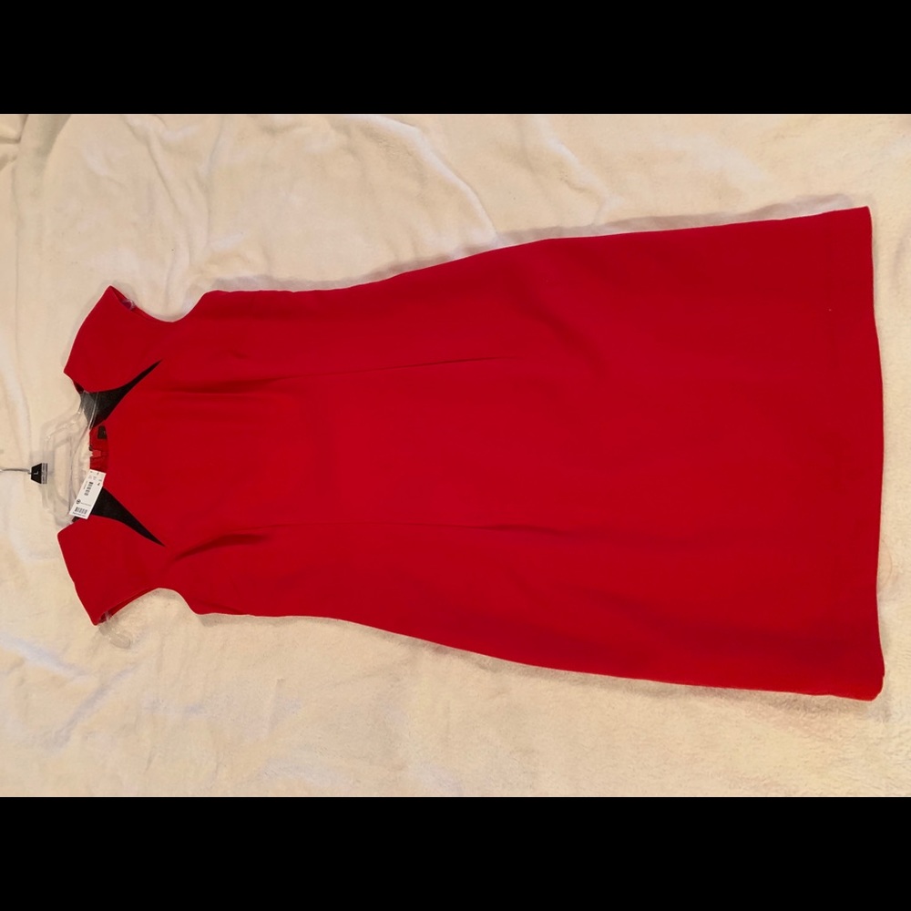 NWT The Limited red fitted dress - Picture 5 of 9